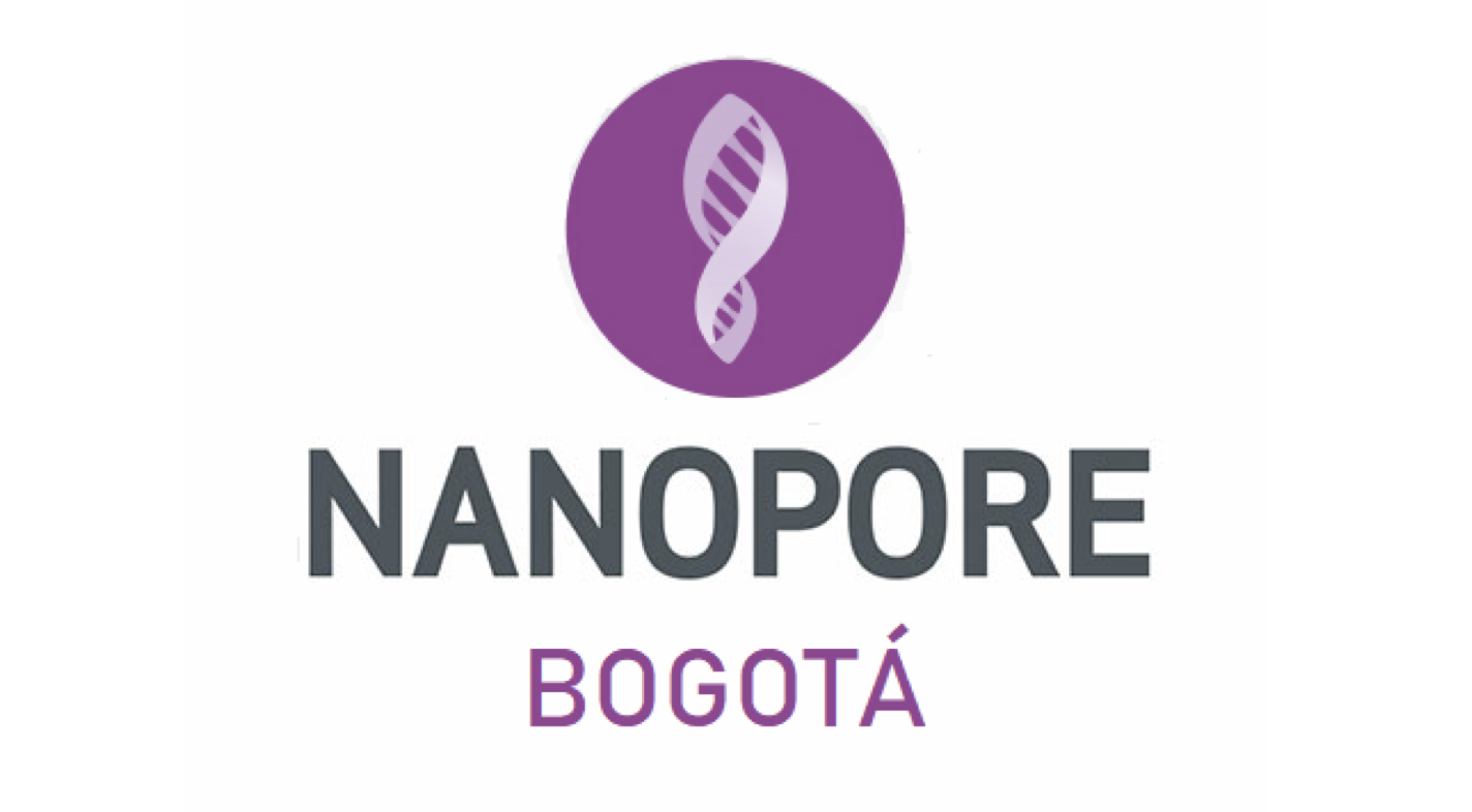 nanopore